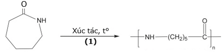 Tơ capron là loại tơ có tính dai, độ đàn hồi và độ bóng cao, ít thấm nước và được sử dụng để dệt vải may mặc. Tơ capron được tổng hợp từ caprolactam theo phương trình hoá học sau :
 (ảnh 1)
