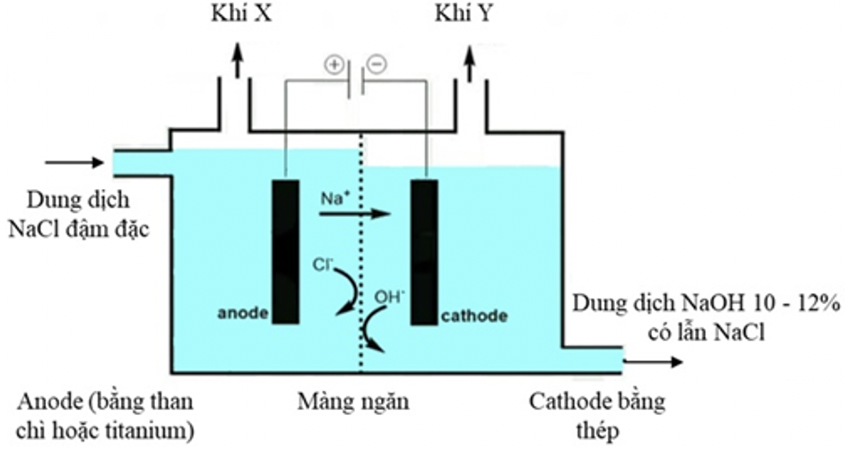 Chlorine và sodium hydroxide là hoá chất được sử dụng để sản xuất nhiều chất trung gian trong các ngành công nghiệp hoá học (polymer, bột giấy, giấy), dược phẩm, thuốc bảo vệ thực vật, sản xu (ảnh 1)