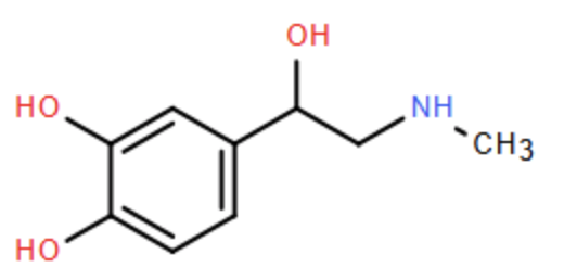Adrenaline là hormone dẫn truyền thần kinh chủ yếu được tiết ra bởi tuyến thượng thận. Nó đóng vai trò quan trọng trong phản ứng “chiến hoặc chạy” của cơ thể, nhanh chóng chuẩn bị cơ thể đối (ảnh 1)
