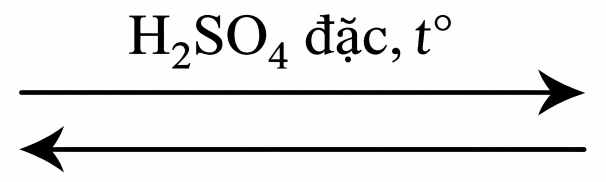 Dầu gió xanh Thiên Thảo là sản phẩm của Công ty Cổ phần Đông Nam Dược Trường Sơn, dùng để chủ trị: Cảm, ho, sổ mũi, nhức đầu, say nắng, trúng gió, say tàu xe, buồn nôn, đau bụng, sưng viêm, n (ảnh 1)