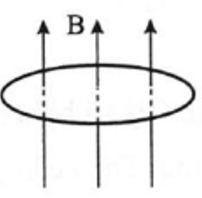 Một vòng dây dẫn phẳng có diện tích S = 160 cm^2 được đặt vuông góc với cảm ứng từ trong một từ trường đồng nhất nhưng có độ lớn tăng đều với tốc độ 0,020 T/s (ảnh 1)