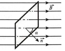 Một mặt có diện tích S = 4,0 dm^2 được đặt trong từ truờng đều và tạo với cảm ứng từ góc alpha = 30 độ (Hình vẽ). Từ thông qua mặt S là phi = 12 mWb (ảnh 1)