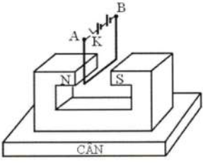 Một bộ thiết bị bao gồm một sợi dây dẫn điện đồng chất, tiết diện đều, một nam châm, một chiếc cân, một bộ nguồn điện có suất điện động không đổi (có gắn sẵn các đầu và một công tắc điện K đi (ảnh 1)