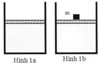 Một lượng khí lí tưởng gồm n mol được chứa trong một xi lanh đặt thẳng đứng với pít-tông đậy kín. Xi lanh có dạng hình trụ được làm từ vật liệu dẫn nhiệt rất tốt, với thành có vạch chia đ (ảnh 1)