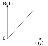 Một khung dây dẫn phẳng có diện tích 20 cm^2 gồm 100 vòng dây, được đặt trong từ trường đều. Vectơ cảm ứng từ vecto B vuông góc với mặt phẳng khung dây. Độ lớn (ảnh 1)