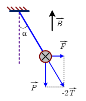 Một đoạn dây dẫn thẳng MN = 5 cm, khối lượng 10 g được treo vào hai sợi dây mảnh, nhẹ MC và ND sao cho MN nằm ngang và CMND nằm trong mặt phẳng thẳng đứng. Cả hệ đặt trong  (ảnh 1)