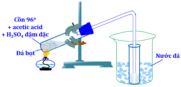 Tiến hành Thí nghiệm: Phản ứng ester hóa – điều chế ethyl acetate
Dụng cụ: Giá sắt, đèn cồn, cốc thủy tinh 250 mL, ống nghiệm, ống dẫn khí, nút cao su có khoan lỗ.
Hóa chất: Cồn 96o, acetic a (ảnh 1)