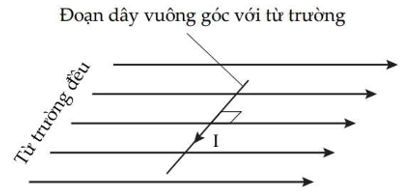 Một dây dẫn thẳng nằm ngang dài 0,30 m mang dòng điện 2,0 A vuông góc với đường sức của một từ trường đều nằm ngang có độ lớn cảm ứng từ là 5,0.10^- 2 (ảnh 1)