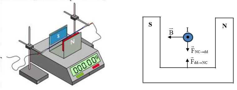 Một đoạn dây dẫn nằm ngang được giữ cố định ở vùng từ trường đều trong khoảng không gian giữa hai cực của nam châm. Nam châm này được đặt trên một cái cân, phần nằm trong từ trường của đoạn d (ảnh 2)
