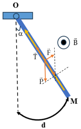 Một thanh dẫn điện đồng chất có khối lượng m = 10 g, dài l = 1 m được treo thẳng đứng trong từ trường đều có phương vuông góc với mặt phẳng hình vẽ,  (ảnh 1)