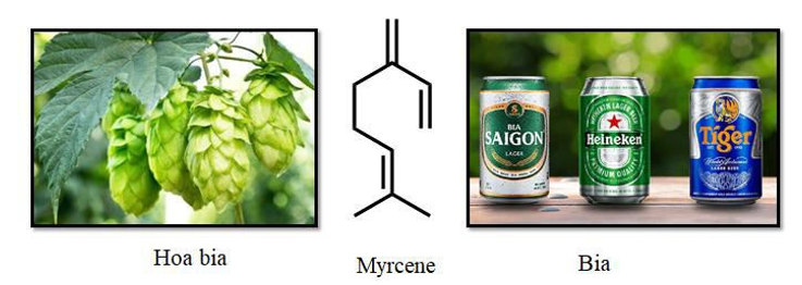  Myrcene là một hydrocarbon có trong hoa bia, nó làm cho bia có hương vị và mùi thơm đặc trưng. Công thức của myrcene được cho dưới đây (ảnh 1)