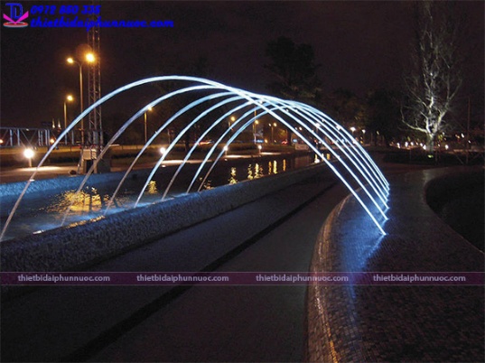  Tia nước của một đài phun nước có hình dạng là một Parabol (P):y=−1/4x^2 với gốc tọa độ O(0;0) là đỉnh. Đỉnh của tia nước cách mặt đất 2,5 mét. (ảnh 1)