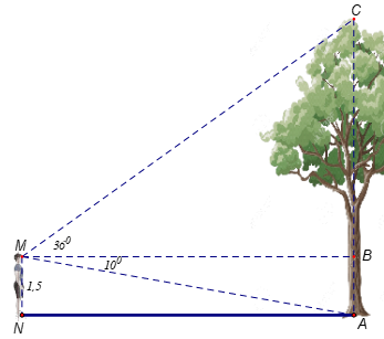  Bạn Hòa đứng thẳng nhìn gốc và đỉnh của một cây xanh trong sân trường tạo với phương nằm ngang các góc lần lượt là ˆAMB=100;ˆCMB=360. Mắt bạn Hòa cách chân một khoảng MN = 1,5m. (ảnh 1)