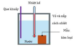 Một nhóm học sinh làm thí nghiệm để xác định nhiệt dung riêng của một mẫu kim loại. Họ có một bình xốp hình trụ có vỏ và nắp cách nhiệt, một que khuấy, một nhiệt kế, mẫu kim loại, một chiếc c (ảnh 1)
