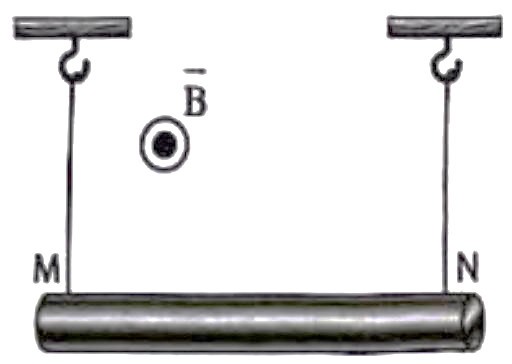 Treo đọan dây dẫn MN có chiều dài l = 25 cm khối lượng của một đơn vị chiều dài là 0,04 kg/m bằng hai dây mảnh, nhẹ sao cho dây dẫn nằm ngang, biết cảm ứng từ có chiều như  (ảnh 1)