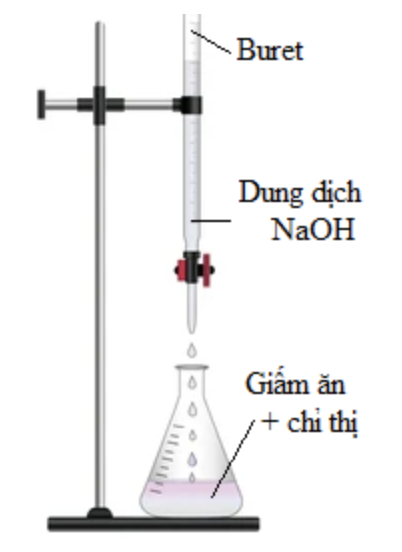 Để xác định nồng độ acetic acid có trong một mẫu giấm ăn, một nhóm học sinh tiến hành thí nghiệm sau:
Bước 1: Pha loãng 10,00 mL giấm ăn bằng nước cất trong bình định mức được 100,00 mL dung (ảnh 1)
