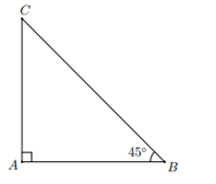 Trong cơn bão, một cây bị gãy gập xuống làm ngọn cây chạm đất và tạo với phương nằm ngang một góc 45o. Người ta đo được khoảng cách từ chỗ ngọn cây chạm đất đến gốc cây là 4,5 m. Giả (ảnh 2)