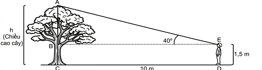 Để đo chiều cao của một cây cổ thụ trong sân trường, một học sinh đứng cách gốc cây 10 m. Từ tầm mắt của học sinh nhìn lên đỉnh cây tạo thành một góc ngắm 40o so với phương nằm ngan (ảnh 1)