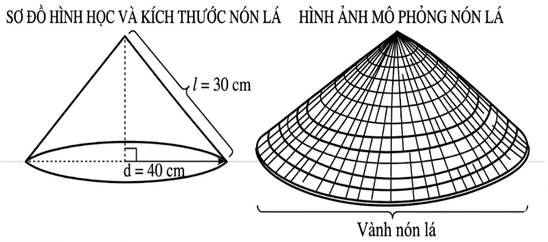  Một chiếc nón lá truyền thống có hình dạng là một hình nón. Biết đường kính của vành nón là 40cm và độ dài đường sinh của chiếc nón là 30cm. Tính chu vi của vành nón lá và tính diện tích phần lá dùng để lợp kín (ảnh 1)
