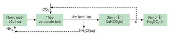 Trong công nghiệp, sodium hydrogencarbonate (baking soda) và sodium carbonate được sản xuất bằng phương pháp Solvay từ nguyên liệu chính là đá vôi, muối ăn, ammonia và nước. Quá trình sản xuấ (ảnh 1)