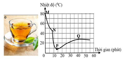 Một học sinh pha một cốc tr&agrave; n&oacute;ng. Sau một l&uacute;c, học sinh n&agrave;y th&ecirc;m một số vi&ecirc;n đ&aacute; v&agrave;o tr&agrave;. Học sinh sử dụng cảm biến nhiệt độ để đo nhiệt độ của tr&agrave;. H&igrave;nh dưới đ&acirc;y cho thấy biểu đồ nhiệt độ -  (ảnh 1)