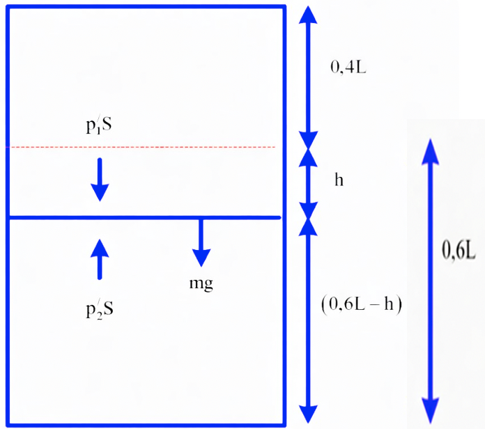 Giữ nhiệt độ ở phần 2 không đổi, nung nóng phần 1 đến nhiệt độ 600 K thì pit-tông cách đáy dưới khoảng là h. Tìm tỉ số h/L (làm tròn kết quả đến chữ số hàng phần tră (ảnh 1)