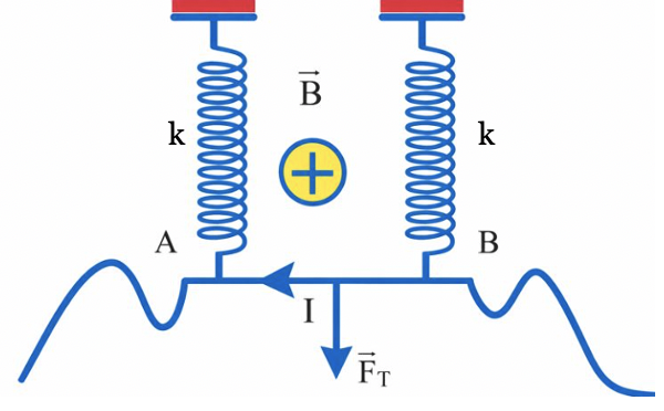 Một dây dẫn có khối lượng phân bố đều bằng đồng AB dài 30 cm được treo bằng hai lò xo giống hệt nhau có độ cứng k = 20 N/m, AB đặt trong từ trường đều có cảm ứng từ   (ảnh 2)