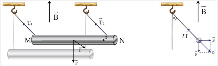 Một đoạn dây dẫn MN, chiều dài L = 40 cm, khối lượng m = 10g, được treo bằng hai sợi dây dẫn nhẹ thẳng đứng và đặt trong một từ trường đều có cảm ứng từ B (ảnh 2)