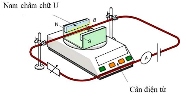 Một nhóm học sinh đã tiến hành thí nghiệm như hình bên để xác định cảm ứng từ B trong lòng của nam châm chữ U. Nam châm được đặt trên cân điện tử. Một thanh cứng thẳng dẫn điện, đặt  (ảnh 1)