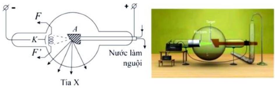 Hình ảnh dưới đây là ống phát tia X, khi sợi nung FF' được đốt nóng, electron bức xạ nhiệt ra khỏi cathode (K), khi ra khỏi cathode electron được tăng tốc bởi điện tr (ảnh 1)