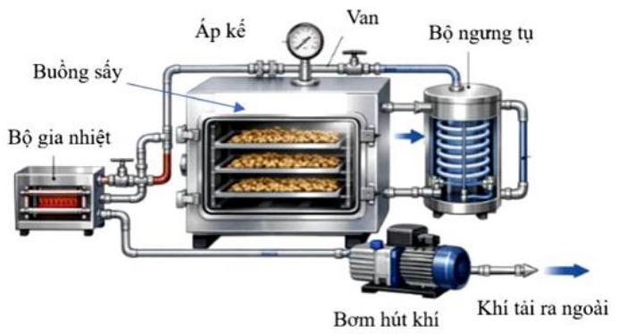 Đông trùng hạ thảo tươi có hàm lượng nước chiếm từ 85 % đến 90 % khối lượng. Sau quy trình chế biến, độ ẩm thành phẩm được đưa về mức 5 % đến 8 % (ảnh 1)