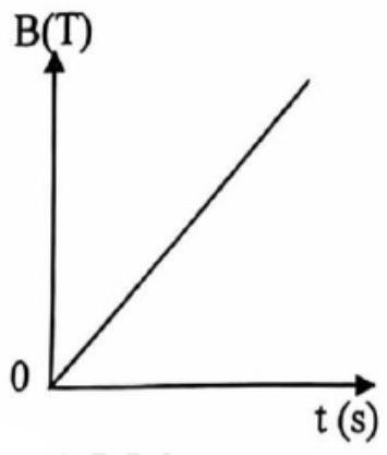 Một khung dây dẫn phẳng có diện tích 20 cm^2 gồm 100 vòng dây, được đặt trong từ trường đều. Vectơ cảm ứng từ B vuông góc với mặt phẳng khung dây. Độ lớn cảm ứng (ảnh 1)