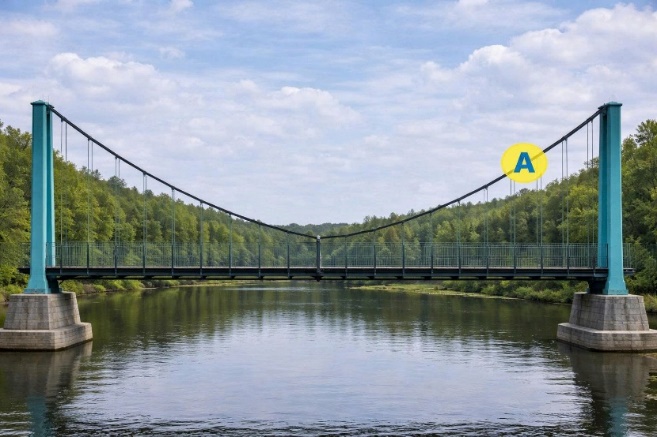  Trong quá trình thiết kế một cây cầu treo bắc qua thung lũng, các kỹ sư mô phỏng sợi dây cáp chính bằng một đường parabol (P) có phương trình: y = 1/2x^2 (trong đó x, y tính bằng mét). (ảnh 1)