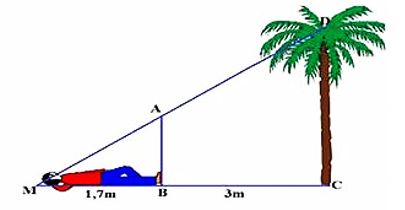  Bạn An tiến hành thực nghiệm đo chiều cao của cây dừa. Bạn đo được khoảng cách từ chân mình tới gốc cây là 3m, bạn cao 1,7m. Cho khoảng cách từ đỉnh đầu bạn An tới đỉnh cây là  (ảnh 1)