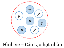 Hình vẽ bên dưới minh họa cấu trúc của một hạt nhân X. Biết độ lớn điện tích nguyên tố là e (ảnh 1)