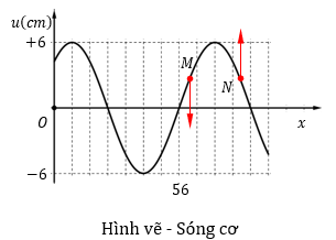 Một s&oacute;ng được m&ocirc; tả trong đồ thị li độ u cm &ndash; khoảng c&aacute;ch x cm như h&igrave;nh vẽ b&ecirc;n dưới.Mũi t&ecirc;n m&ocirc; tả chiều chuyển động của c&aacute;c phần tử s&oacute;ng M v&agrave; (ảnh 1)