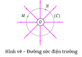 Hình vẽ bên dưới mô tả một các đường sức điện của điện trường gây bởi một điện tích Q đặt tại O. Gọi (C) là đường tròn có tâm tại O, bán kính r (ảnh 1)