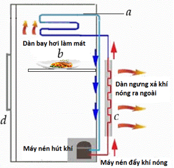 Hình bên mô tả sơ đồ nguyên lí của một chiếc tủ lạnh. Tủ lạnh hoạt động như một máy bơm nhiệt, di chuyển nhiệt từ bên trong ra bên ngoài nhờ sự tuần hoàn của một “chất làm lạnh”. Chất này đượ (ảnh 1)