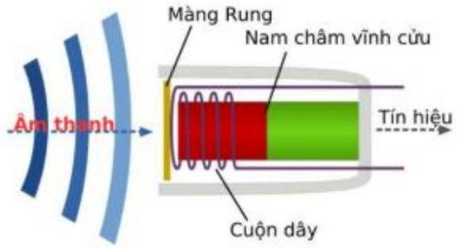 Microphone dynamic là loại micro sử dụng cuộn dây di động để chuyển đổi sóng âm thành tín hiệu điện. Microphone dynamic gồm một màng rung được gắn với một cuộn dây dẫn điện. Khi bị tác động b (ảnh 1)