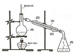 Ethyl acetate là một ester được sử dụng là dung môi để tách, chiết chất hữu cơ. Hợp chất này được điều chế từ acetic acid, ethanol theo phản ứng và mô hình thí nghiệm sau:
CH3COOH + C2H5OH ⇋  (ảnh 1)