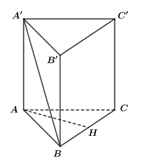 Cho khối lăng trụ đứng ABC.A'B'C' có đáy là tam giác vuông cân tại A, AB = a, AA' = a căn 2  (ảnh 1)