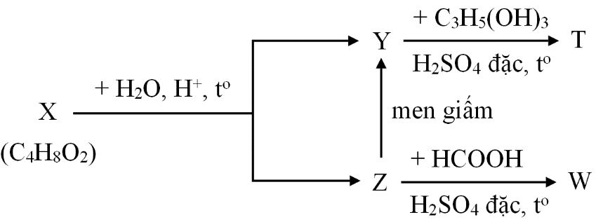 Cho sơ đồ phản ứng sau:
Biết rằng X, Y, Z, T, W là các hợp chất hữu cơ khác nhau; T chỉ chứa một loại nhóm chức. (ảnh 1)