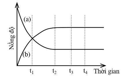 Cho biến thiên nồng độ chất phản ứng và chất sản phẩm theo thời gian như sau:
(ảnh 1)