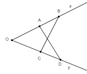  Cho góc xOy, trên cạnh Ox lấy các điểm A và B, trên cạnh Oy lấy các điểm C và D sao cho OA = OC, OB = OD. Chứng minh rằng AD = BC. (ảnh 1)