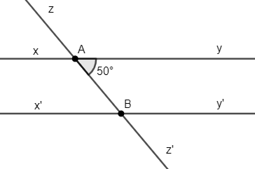 Cho xy // x’y’ và góc BAy = 50 độ. Tính ABx' và y'Bz (ảnh 1)