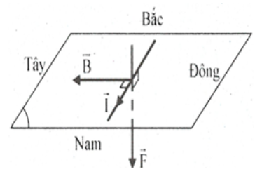 Một dây dẫn mang dòng điện được bố trí theo phương nằm ngang, có chiều từ Bắc đến Nam. Nếu dây dẫn chịu lực từ \[\overrightarrow {F\;} \]tác dụng lên dây có chiều từ trên xuống dưới thì cảm ứ (ảnh 1)