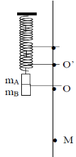 Hai vật A, B dán liền nhau \mb = 2ma = 200g, treo vào một lò xo có độ cứng k = 50N/m, có chiều dài tự nhiên 30cm. Nâng vật theo phương thẳng đứng đến vị trí l (ảnh 1)