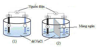 oleObject1.bin
