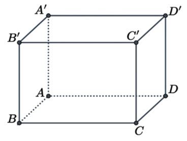 Cho hình lập phương ABCD.A'B'C'D', có cạnh a. Các mệnh đề sau đúng hay sai? (ảnh 1)