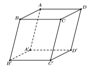 Trong không gian với hệ tọa độ Oxyz, cho hình hộp ABCD.A'B'C'D' có A'(1;0;1), B'(2;1;2), D'(1; - 1;1) (ảnh 1)